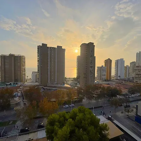 Albatros 13º شقة *